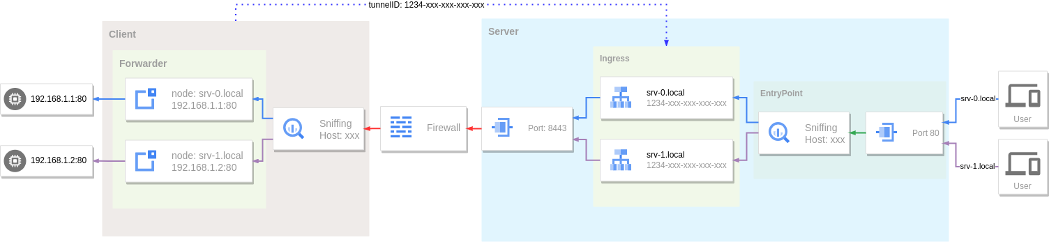 Reverse Proxy